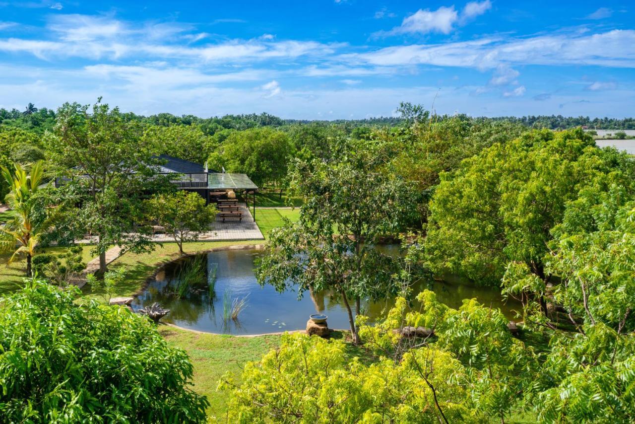 Wild Culture Yala Hotel Exterior photo